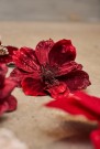Magnolia m\klips thumbnail