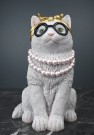  Katt m\briller thumbnail