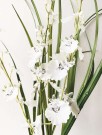 Orkide i potte 56 cm thumbnail