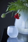 Magnor Iglo Frost 15cm thumbnail