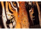 Lerretsbilde Tiger Hipster dekor thumbnail