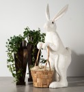 Hare med kurv thumbnail