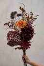 Krysantemum stilk thumbnail