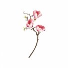 Magnolia stilk rosa 49cm thumbnail