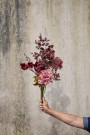 Blomster stilk  thumbnail