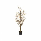 Magnolia tre 120cm hvit thumbnail