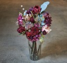 Krysantemum stilk thumbnail