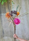 Krysantemum stilk thumbnail