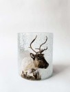 Lysglass krakelert frostet reinsdyr thumbnail