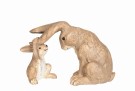 Kanin med kaninunge thumbnail
