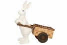 Hare med kjerre thumbnail
