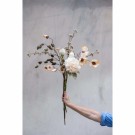 Achillea gren 88cm thumbnail
