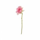 Georgine stilk 50cm rosa thumbnail