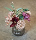 Magnolia stilk thumbnail