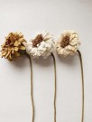 Papirblomst gerbera gul thumbnail