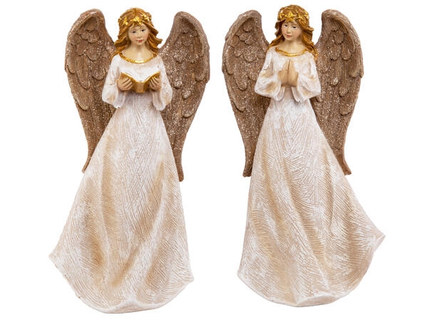 H:15cm