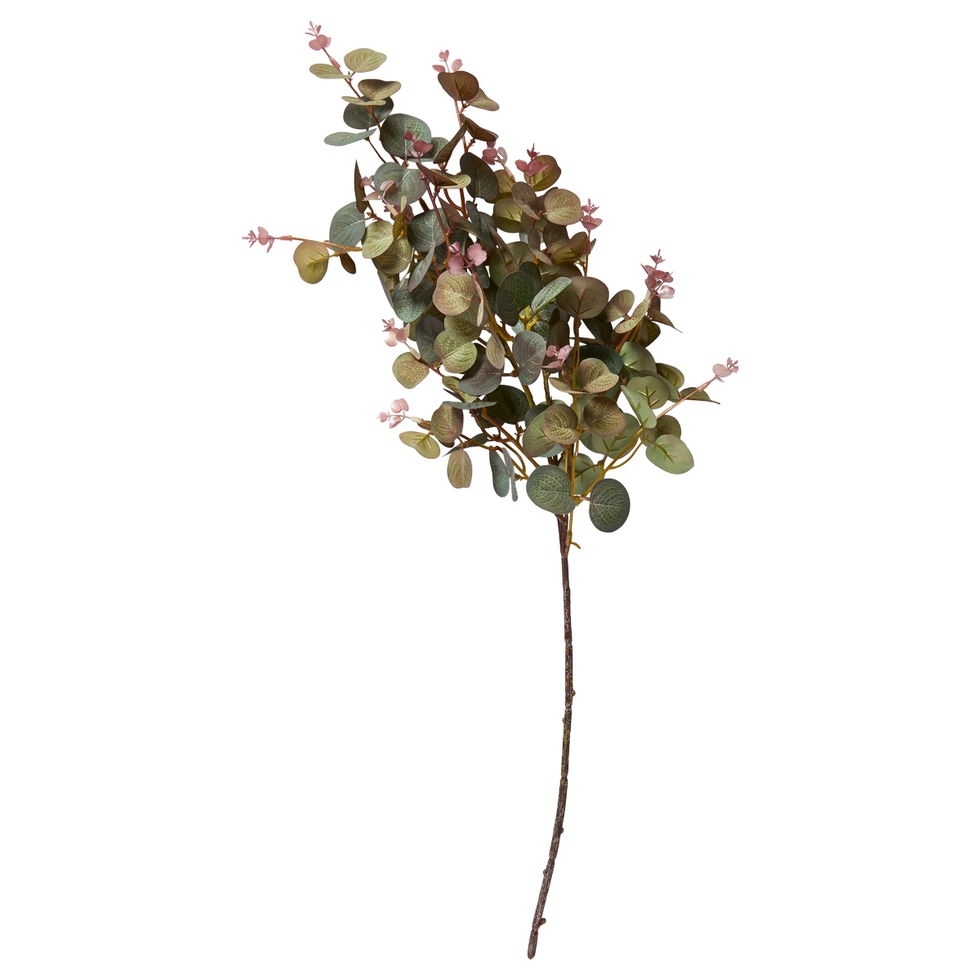 Eucalyptus gren 70 cm