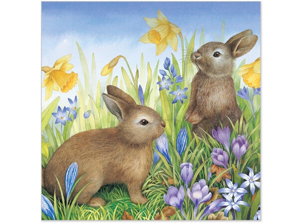 Lunsjserviett 20 stk 3-lags 33x33cm